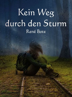 cover image of Kein Weg durch den Sturm